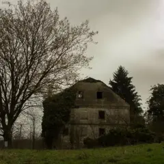 Une vieille maison abandonnée, envahie par la végétation, se dresse sous un ciel gris. On dirait une **maison hantée à Paris**, pleine de mystères.