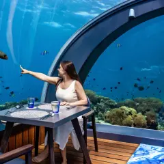 Une femme pointe un poisson dans un restaurant sous la mer, entourée de coraux et de vie marine.