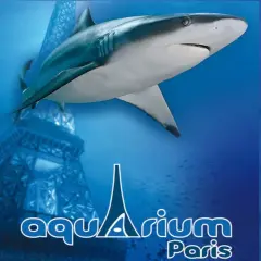 Un requin nage près d'une réplique de la Tour Eiffel au grand aquarium de Paris.