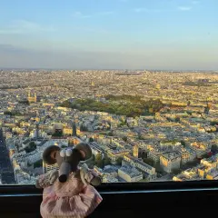 Souris en peluche profite de la vue panoramique de Paris depuis la Tour Montparnasse. Monter tour Montparnasse gratuit pour elle !