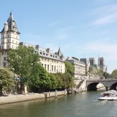 Bateau de croisière naviguant sur la Seine, passant sous un pont. Le quai de la photo est bordé d'arbres et de bâtiments parisiens.