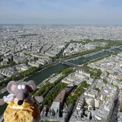 Vue de Paris depuis la hauteur de la tour Eiffel, 2ème étage, avec une souris en peluche.