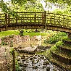Pont en bois au-dessus d'un ruisseau dans le jardin du musée départemental Albert-Kahn.