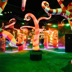 Un décor féerique avec des arbres en bonbons rayés, des miroirs et des lumières néon, typique d'un musée interactif à Paris.