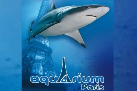 Un requin nage près d'une réplique de la Tour Eiffel au grand aquarium de Paris.