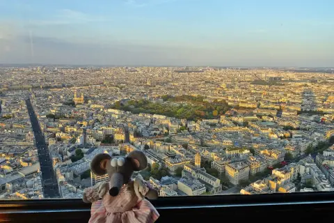 Souris en peluche profite de la vue panoramique de Paris depuis la Tour Montparnasse. Monter tour Montparnasse gratuit pour elle !