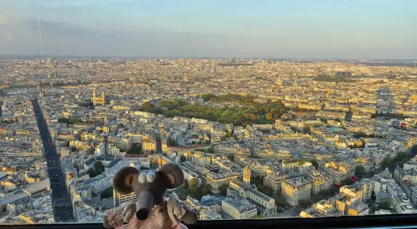 Souris en peluche profite de la vue panoramique de Paris depuis la Tour Montparnasse. Monter tour Montparnasse gratuit pour elle !