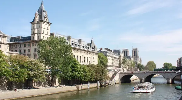 Bateau de croisière naviguant sur la Seine, passant sous un pont. Le quai de la photo est bordé d'arbres et de bâtiments parisiens.