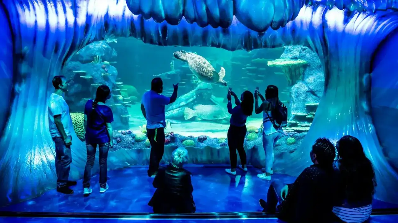 Aquarium de Paris au Trocadéro - guide de visite