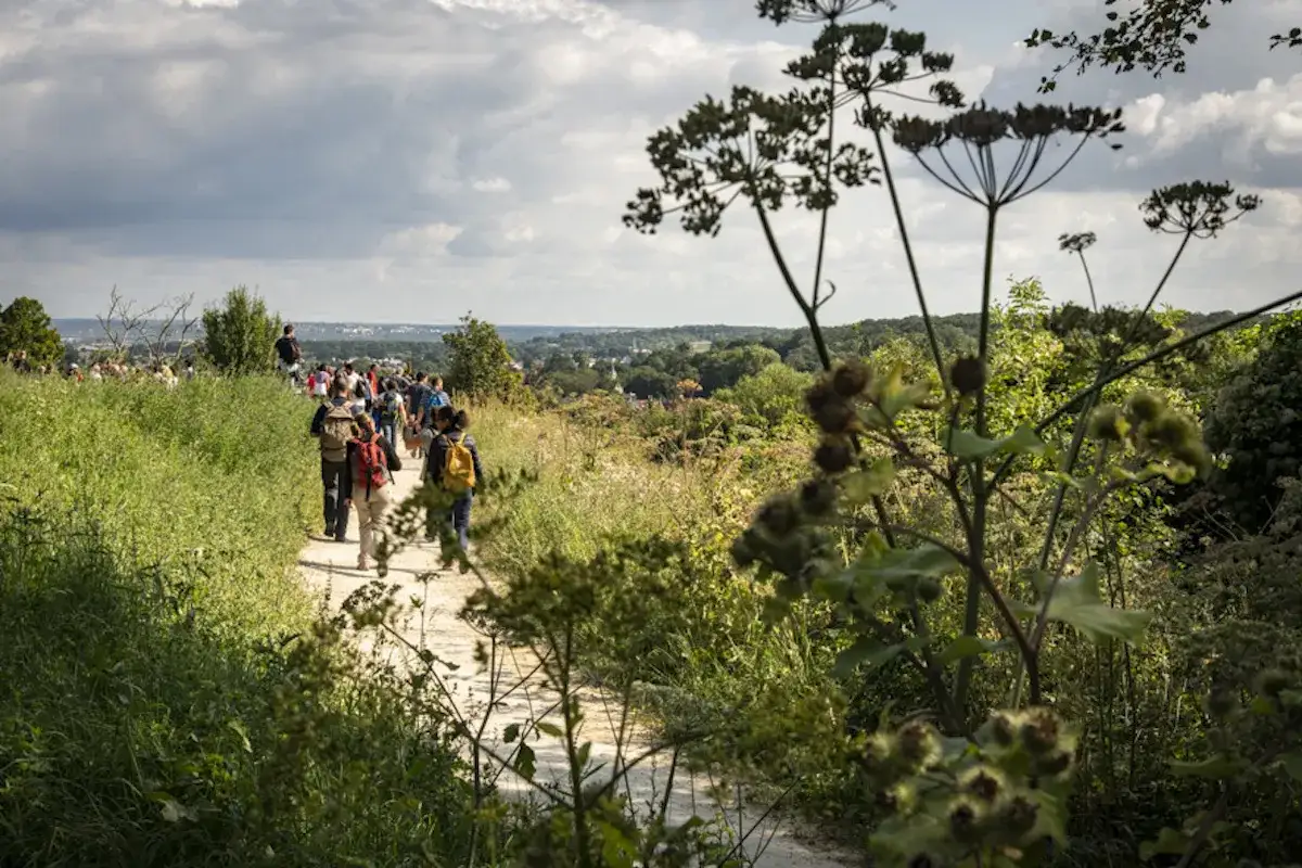 Randonn&eacute;e en &Icirc;le-de-France ce week-end gratuit. Un groupe marche sur un sentier bord&eacute; de verdure, profitant d'une vue panoramique.