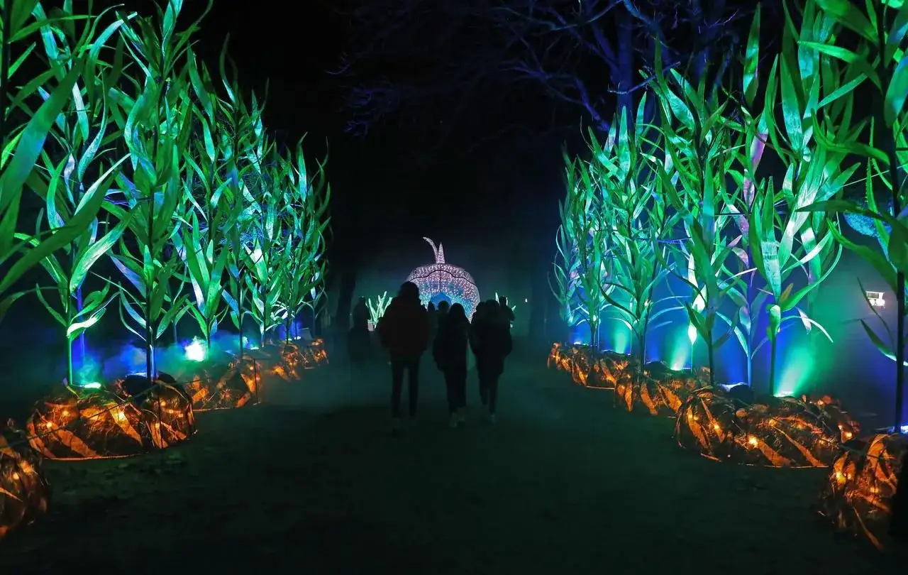 Un parcours lumineux à Paris, avec des plantes vertes lumineuses et des lanternes citrouilles. Des visiteurs marchent vers une arche illuminée.