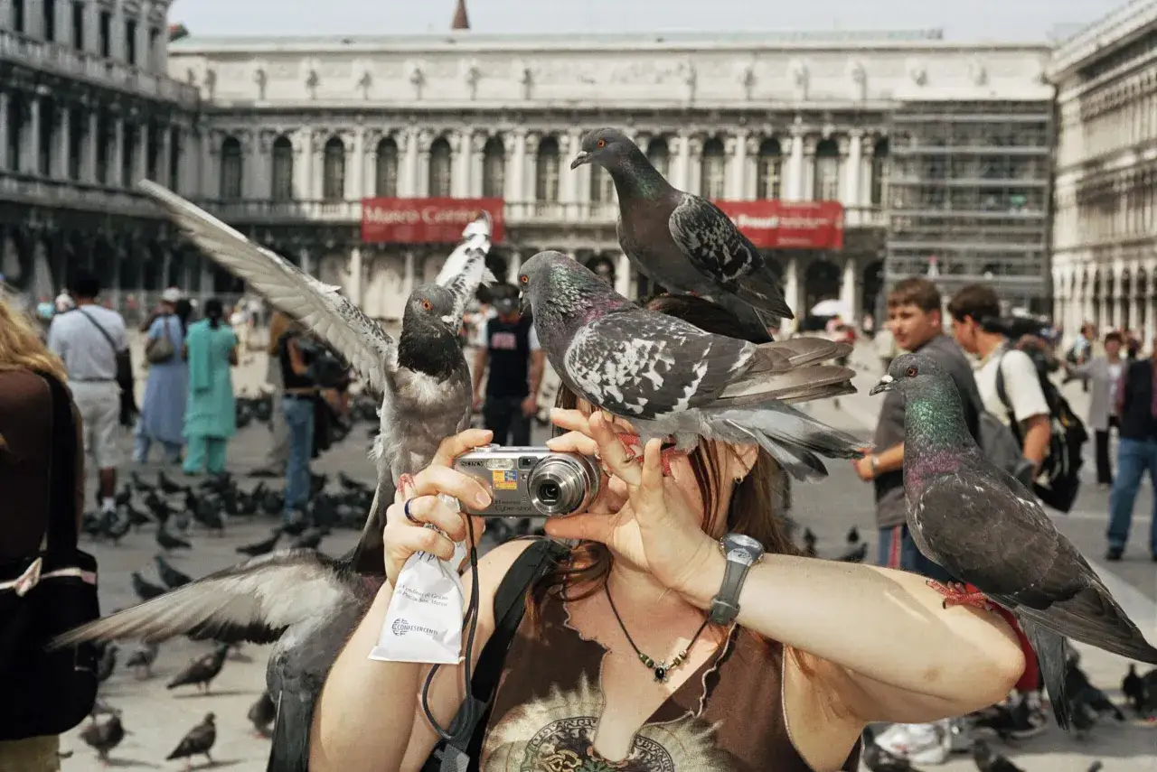 Une femme prend une photo de pigeons à Venise, une scène typique d'une expo Martin Parr.