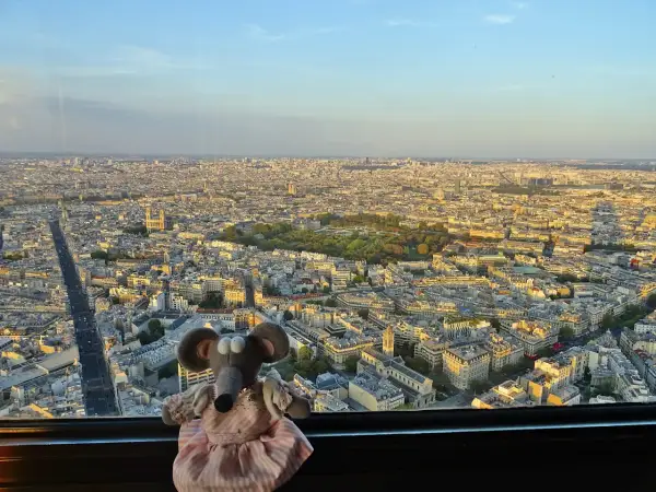 Souris en peluche profite de la vue panoramique de Paris depuis la Tour Montparnasse. Monter tour Montparnasse gratuit pour elle !