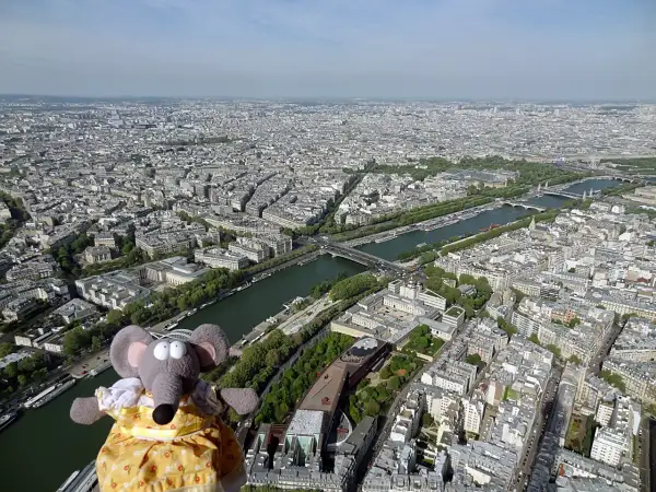 Vue de Paris depuis la hauteur de la tour Eiffel, 2ème étage, avec une souris en peluche.